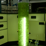生物培養裝置-光反應器