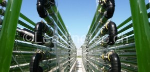 管道式藻類培養光生物反應器