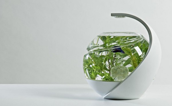 AVO自動清潔魚缸 特殊LED光照抑制藻類繁殖