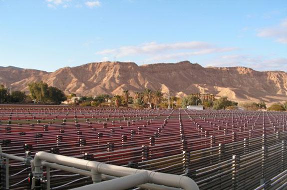 圖6.以色列Algatech公司位于內蓋夫沙漠中的管道式雨生紅球藻養殖基地